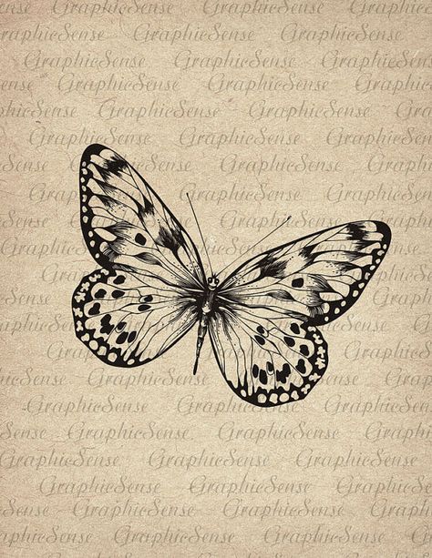 Butterfly - Old Encyclopedia Illustration - Printable Graphics Digital Collage Sheet Image Download Transfer An101 Vintage Butterfly Tattoo, Butterfly Illustration Vintage, Art Nouveau Butterfly Illustration, Papillon Drawing Dog, Encyclopedia Illustration, Borboleta Tattoo, Vintage Monarch Butterfly Illustration, Antique Butterfly Illustration, Vintage Foto's