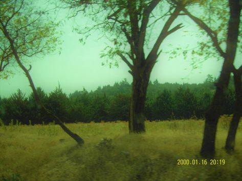 Film Nature Aesthetic, Digital Camera Aesthetic Nature, 2000s Nature Aesthetic, Green In Film, 2012 Grunge Aesthetic, Vintage Film Photography Nature, Surreal Nature Photography, Moody Green Photography, Indie Forest Aesthetic