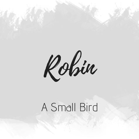 Robin Name Meaning, Robin Name, Sweet Girl Names, Names Meaning, Boys Names, Name Drawings, Beautiful Names, Aesthetic Names