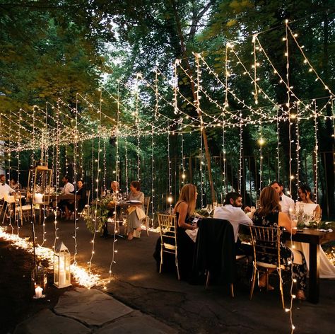 Wedding • Instagram Harvest Moon Wedding, Wedding Instagram, Moon Wedding, Light Magic, String Quartet, Harvest Moon, Twinkle Lights, Fall Festival, Bride And Groom