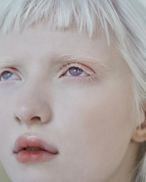 Nastya Zhidkova Nastya Zhidkova, Albino Model, Albino Girl, Fairytale Photography, Photographie Portrait Inspiration, Angel Aesthetic, Face Reference, Face Photography, Face Drawing