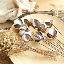 Buy sola flowers and get free shipping on AliExpress.com Stem Notes, Flowers Notes, Cotton Branches, Home Flower Decor, Floral Furniture, Diy Floral Decor, Cotton Boll, Cotton Stems, Flower Style