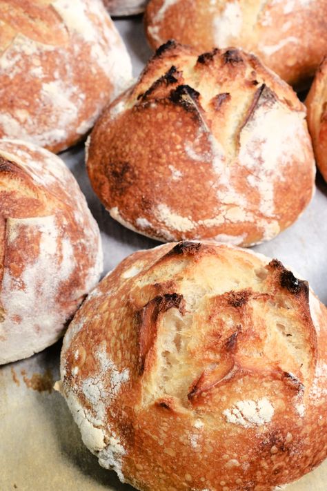 Homemade Sourdough Bread Bowls Prefect for Soup Small Bread Bowls For Soup, Sourdough Bread Bowls Recipe, Sourdough Soup Bowl Recipe, Sourdough Soup Bowl, Sourdough Discard Bread Bowls, Kitchenaid Bread Bowl Recipes, Sourdough Bread Bowls For Soup, Mini Sourdough Boules, Sourdough Bread Bowl Recipe