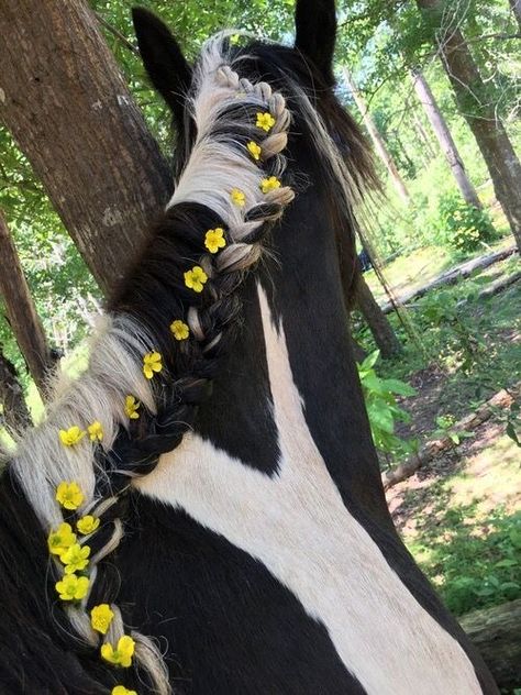 Horse Mane Braids, Horse Hair Braiding, Ride A Horse, Horsey Life, Horse Braiding, Equestrian Aesthetic, Cute Horse Pictures, Horse Mane, Horse Aesthetic