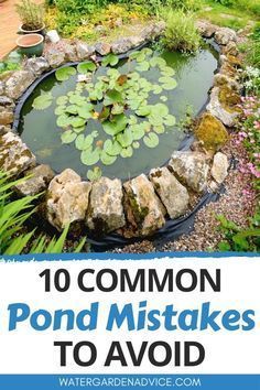 Ponds Backyard Waterfall, Small Fish Pond, Fish Ponds Backyard, Small Backyard Ponds, Diy Ponds Backyard, Ponds For Small Gardens, Koi Pond Design, Fish Pond Gardens, Backyard Ponds