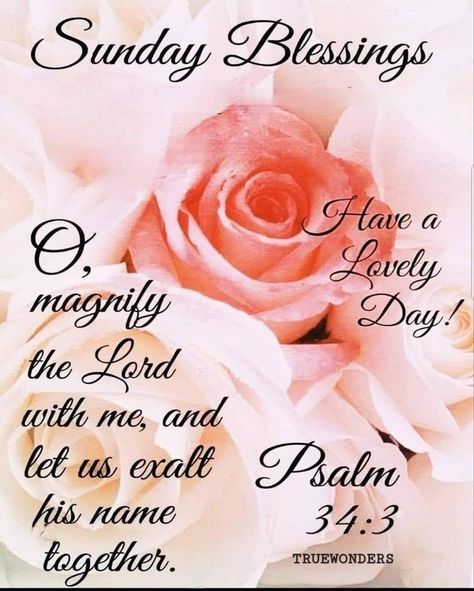 Sunday Scripture Blessings, Sunday Blessings Inspiration Scriptures, Sunday Blessings Inspiration, Scripture Blessings, Sunday Scripture, Happy Sabbath Quotes, Sabbath Quotes, Happy Sunday Images, Sunday Morning Quotes