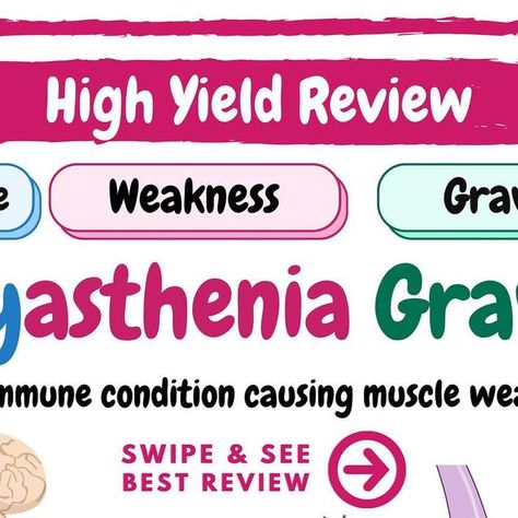 REV NEURO • Medical Education on Instagram: "This is a great review for Myasthenia Gravis keep reading for more👇🏼

Follow us to continue learning 🫶🏼 @rev.Neuro 

Myasthenia Gravis (MG)

✅ Overview

Myasthenia gravis (MG) is an autoimmune disorder characterized by muscle weakness and fatigue. The main pathology of the disease lies in the neuromuscular junction (NMJ), where there is a deficiency of the neurotransmitter acetylcholine. This leads to an imbalance between the excitatory neurotransmitter acetylcholine and the inhibitory neurotransmitter GABA, resulting in muscle weakness.

✅ Examination

Try to elicit fatiguability in the skeletal musculature: 
*Have patient repeatedly blink to see ‘ptosis’
*Have them look upward for long period of time & move eye side to side to see ‘diplopi Muscle Weakness And Fatigue, Neuromuscular Junction, Muscle Weakness, Autoimmune Disorder, Medical Education, Neurology, Skeletal, Neuroscience, Disease