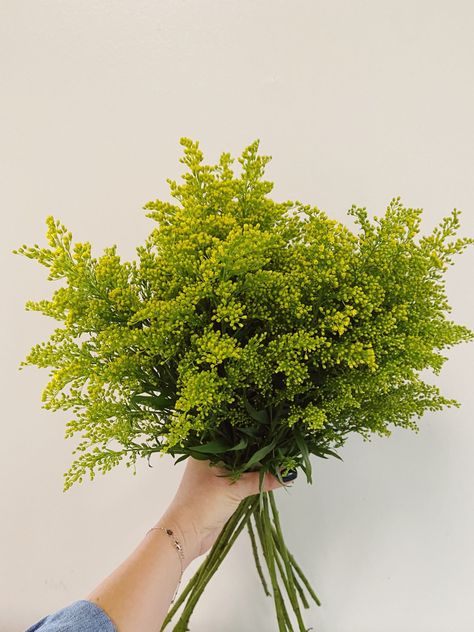 Bouquet Fillers Green, Filler Greens For Flower Arrangements, Flower Arrangement Fillers, Yellow Filler Flowers, Filler Plants For Bouquets, Filler Flowers For Bouquet, Green Filler Flowers, Best Filler Flowers, Filler Flowers For Arrangements