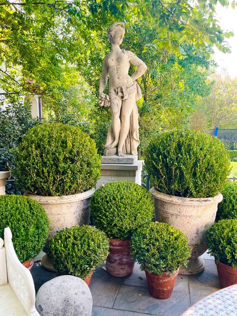 Boxwood Landscaping, Formal Garden Design, Parterre Garden, Boxwood Garden, Evergreen Garden, Topiary Garden, English Cottage Garden, Formal Gardens, Garden Containers