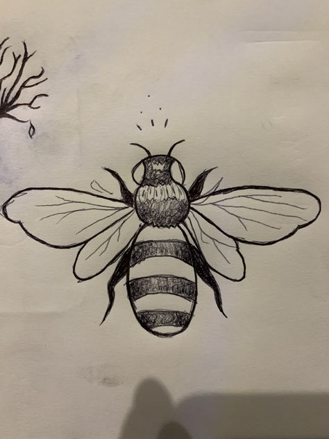 Bee Drawing Aesthetic, How To Draw Bees Easy, Realistic Drawings Animals, Drawing Of A Bee, Drawings Of Bees, Bubble Bee Drawing, Honeybee Drawing Simple, Bumble Bee Drawing Simple, Simple Bee Drawing