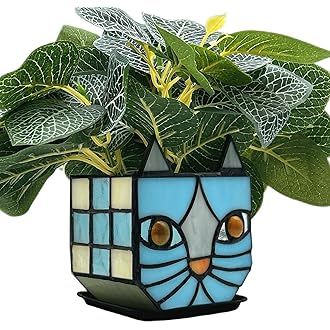 Amazon.com : Entlityful Gray Cat Glass Planter, Cat Plant Pots Indoor, Unique Small Gray Cat Planter, Glass Gap Automatic Drainage System and Base Saucer, Window Sill Cat Decoration Gift,4.6x5.15x2.3IN (Gray) : Patio, Lawn & Garden Stained Glass Planter, Indoor Plant Gifts, Stained Glass Blue, Cat Planter, Outdoor Table Decor, Cat Stain, Cat Plants, Plant Decoration, Plant Display