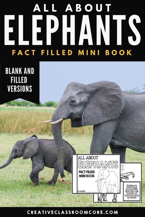 All About Elephants: A Fact Filled Mini Booklet for the Primary Grades. Perfect for your upcoming elephant unit or African Animal Unit, this elephant mini book contains key information and coloring book style images, and writing practice pages. It can be completed by itself, or combined a variety of other mini books available in my store. Elephant Information, All About Elephants, Elephant Facts, Primary Writing, Elephant Crafts, Mini Booklet, Kindergarten Books, Animal Study, School Curriculum