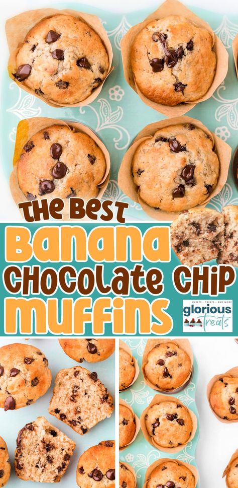 Choc Chip Muffins Recipe, Easy Banana Chocolate Chip Muffins, Chocolate Chip Banana Bread Muffins, Banana Choc Chip Muffins, Chocolate Chip Muffins Easy, Banana Bread Muffin Recipe, Chocolate Chip Banana Muffins, Basic Muffin Recipe, Savory Muffins Recipes