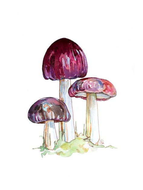 Watercolor Stream, Cement Mushrooms, Vegetables Watercolor, Mushroom Watercolor, Fungi Illustration, Watercolor Party, Mushroom Paint, Creepy Drawings, Watercolor Flowers Tutorial