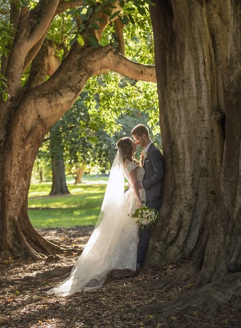 Wedding Picture Location Ideas, Park Wedding Pictures Photo Ideas, Tree Wedding Photos, Outdoor Wedding Poses Ideas, Wedding Photos Romantic, Unique Couple Wedding Photos, Natural Wedding Pictures, Before Wedding Pictures Couple, Nature Wedding Photoshoot