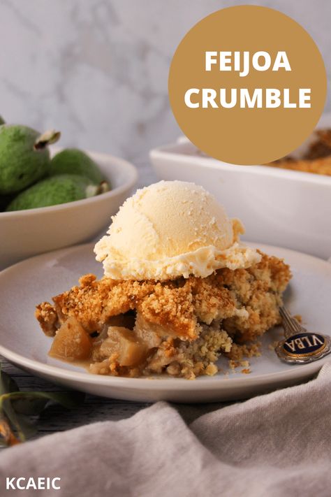 This cozy feijoa crumble is full of delicious feijoa flavor with a hint of warming ginger. Perfect for using lots of feijoas when your tree is producing heaps! Fejoa Crumble Recipes, Feijoas Recipes, Feijoa Cake, Feijoa Recipes, Feijoa Tree, Feijoa Chutney Recipes, Fejoa Recipes, Feijoa Crumble, Hot Desserts