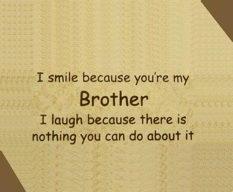 Cute Brother Quotes, Funny Siblings Quote, Funny Brother Quotes, Photography Quotes Funny, Best Brother Quotes, Birthday Brother Funny, Big Brother Quotes, Fresh Quotes, Brother Birthday Quotes