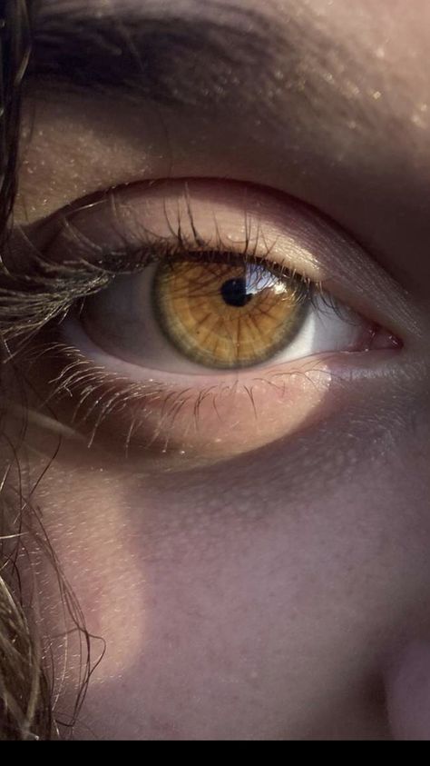 Colored Eyes Aesthetic, Eye Images Photography, Hazel Eye Color, Eyes Photography, Eye Reference Photo, Aesthetic Hazel Eyes, Hazel Eyes Aesthetic Pictures, Beautiful Eye Color Aesthetic, Eyes Reference