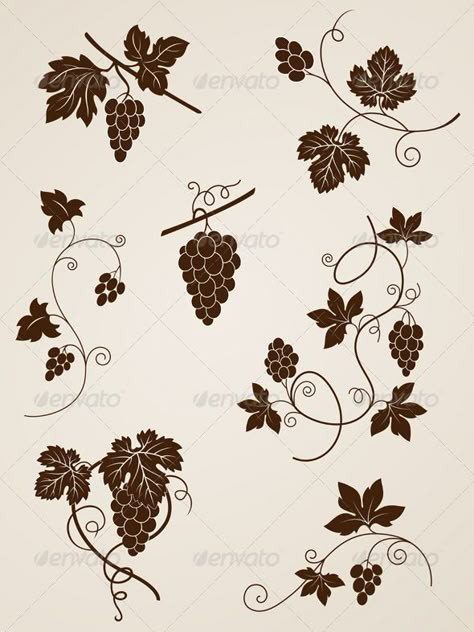 Grape Vine Design Elements - Flourishes / Swirls Decorative Vine Logo, Grape Drawing, Wind Drawing, Vine Drawing, Grapes Leaves, Vine Tattoos, Vine Leaves, Vine Design, Grape Leaves