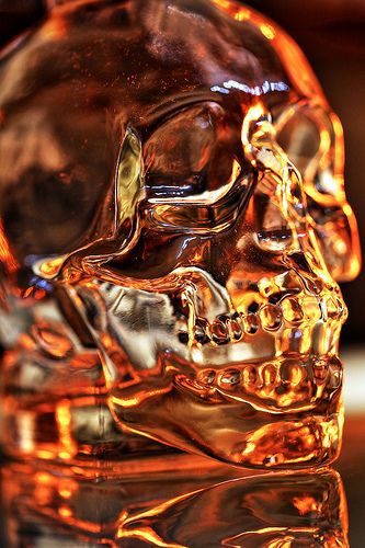 Cryatal Skull (HDR) 1 Phoenix Legend, Skull Real, Skull Home Decor, Skull Reference, Resin Skull, Crystal Skulls, Skulls And Bones, Human Skull, Setting Sun