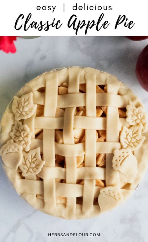 Apple Pie Designs, Classic Apple Pie Recipe, Apple Pie From Scratch, The Best Apple Pie, Apple Cranberry Pie, Homemade Pie Recipes, Apple Pie Recipe Homemade, Vegetable Shortening, Homemade Pies