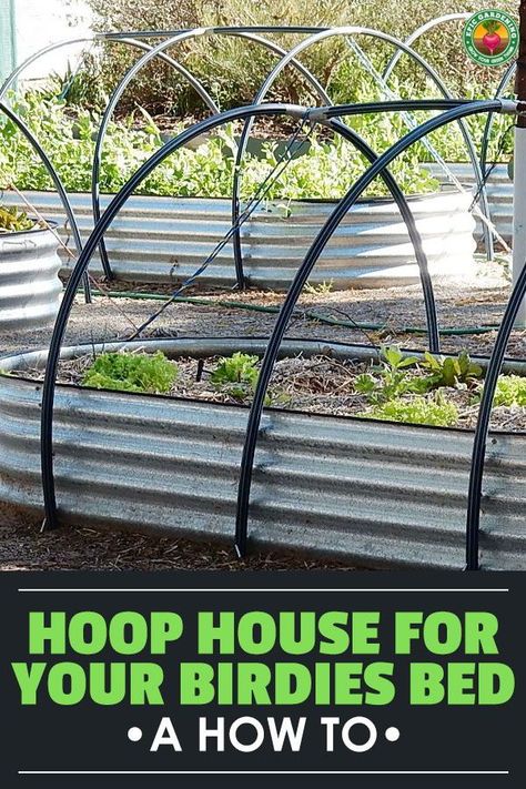 Building a raised bed hoop house can help you extend your season or prevent pests. We've created one just for the Birdies garden bed! Raised Garden Bed Cold Frame, Raised Bed Hoop House, Raised Garden Bed Cover Ideas, Birdies Garden Beds, Garden Hoops Raised Beds, Birdies Raised Garden Beds, Raised Bed Gardening Ideas, Building A Raised Bed, Gods Tattoo