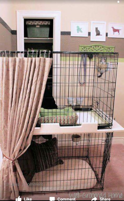 DIY doggies bunk beds w/privacy curtain.  So cute! Dog Grooming Supplies Organization, Grooming Room, Unusual Pets, Dog Grooming Shop, Dog Grooming Salons, Dog Crates, Large Dog Crate, Dog Cage, Dog Grooming Business