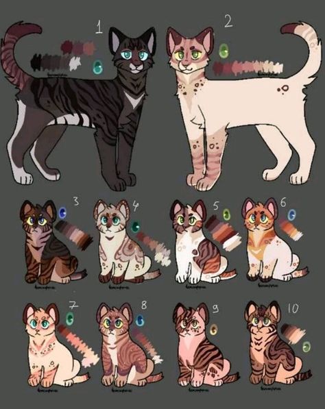 Warrior Cat Reference, Warrior Cats Adopts, Warrior Cats Adoptables, Warrior Cat Oc Ideas, Warrior Cats Oc Design, Warrior Cats Oc Ideas, Warrior Cats Designs, Cat Adopts, Warrior Cats Oc