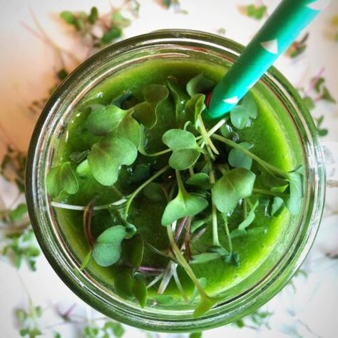 Microgreen Recipes, Broccoli Smoothie, Mango Coconut Smoothie, Microgreens Recipe, Fruit Juice Recipes, Broccoli Sprouts, Coconut Smoothie, Smoothie Prep, Pineapple Smoothie