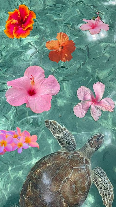 Hibiscus Flower Wallpaper Aesthetic, Sea Turtle Wallpaper, Turtle Background, Summer Prints Wallpaper, Beachy Wallpapers, Sea Life Wallpaper, Summer Beach Wallpaper, Iphone Wallpaper Violet, Wallpaper Preppy