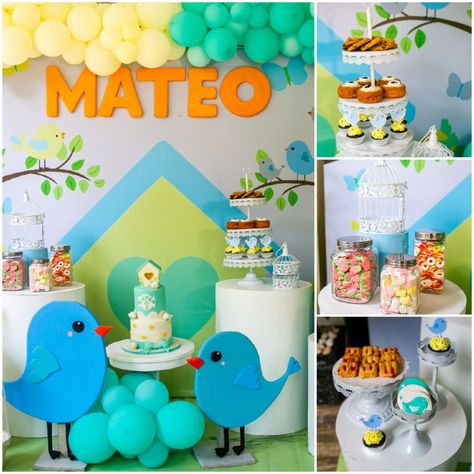 Cute Birds Theme Bird Themed First Birthday Party, Bird Themed Birthday Party Decoration, Birds Theme Birthday Party, Bird Birthday Theme, Bird Themed Birthday Party, Bird Birthday Party, Bird Theme Parties, Birdie Birthday, Boy And Bird