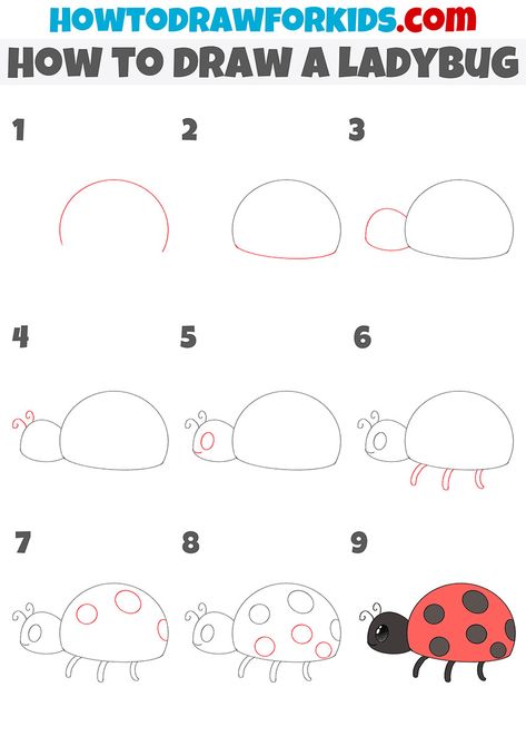 How to Draw a Ladybug - Easy Drawing Tutorial For Kids Ladybird Drawing Simple, Drawing A Ladybug, Bug Doodles To Draw, How To Draw Insects Step By Step, How To Draw Ladybug, How To Draw A Ladybug, Easy Ladybug Drawing, Ladybug Drawing Simple, Step By Step Drawing For Kids