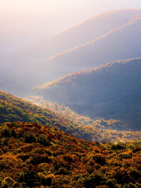 Catskill Mountains - New England states New England States, Connor Franta, Outdoor Pictures, Catskill Mountains, Fall Hiking, Mountain Hiking, Rolling Hills, Fall Color, Beautiful Mountains