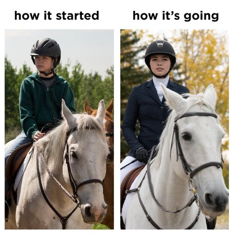 Heartland Memes Funny, Heartland Videos, Heartland Georgie, Heartland Actors, Heart Land, Heartland Cbc, Heartland Quotes, Inspirational Horse Quotes, Horse Lessons