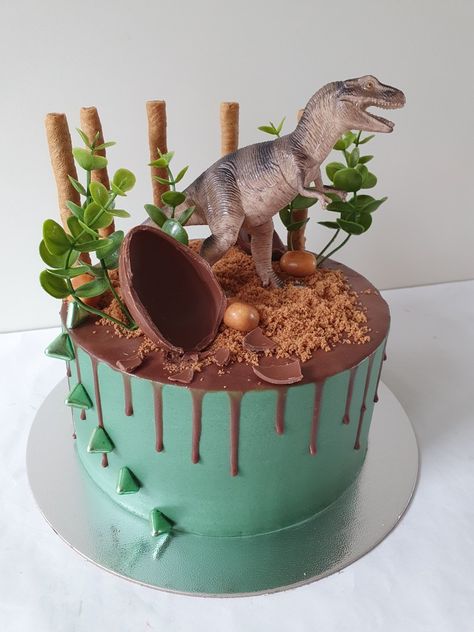 Dinosaur Cake Ideas, Dinosaur Birthday Cake, Dinosaur Birthday Cakes, 3 Birthday, Dino Birthday Party, Dinosaur Cake, Kids Party Food, Dino Birthday, Creative Costumes