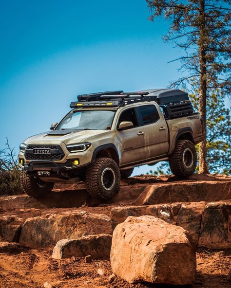 Off Road Tacoma, Tacoma Truck Aesthetic, Tan Tacoma, Custom Toyota Tacoma, Tacoma Flatbed 4x4, Tacoma Fd, Toyota Tacoma Lifted, Ducati Scrambler Custom, Toyota Tacoma With Camper Shell