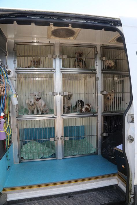 Pet Transport Van, Dog Transport Van, Dog Transport Van Ideas, Fostering Dogs, Dog Boarding Ideas, Animal Transport, Dog Van, Dog Boarding Kennels, Small Dog House