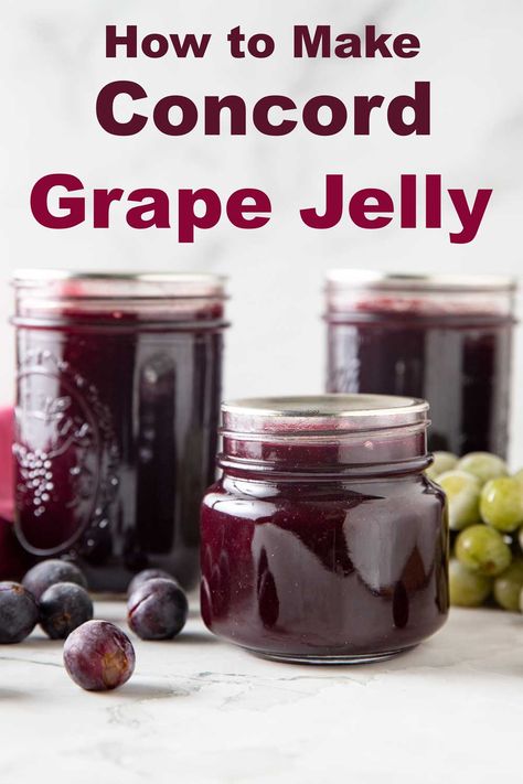 Concord Grape Jelly - Binky's Culinary Carnival Low Sugar Grape Jelly Recipe, Freezer Jelly, Grape Jelly Recipe, Homemade Grape Jelly, Concord Grape Jelly, Sugared Grapes, Homestead Kitchen, Grape Jam, Grape Recipes