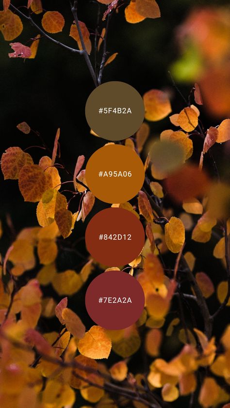 Amber Brown Color Palette, Fall Leaf Color Palette, Rust And Plum Color Schemes, Fall Paint Color Palette, Harvest Colour Palette, Burgundy And Gold Color Palette, 2024 Fall Color Palette, Pumpkin Color Palette, Goddess Color Palette