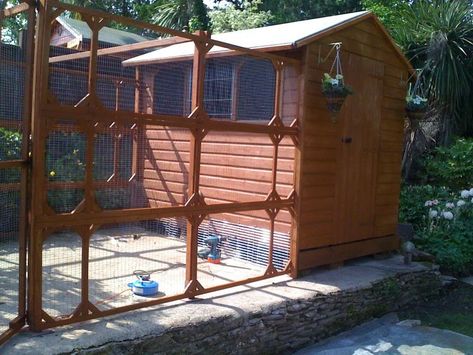 Rabbits United Forum Rabbit Hutches, Hutch, Animal House, Types Of Houses, Guinea Pigs, Garden Inspiration, Shed, Cottage, Outdoor Structures