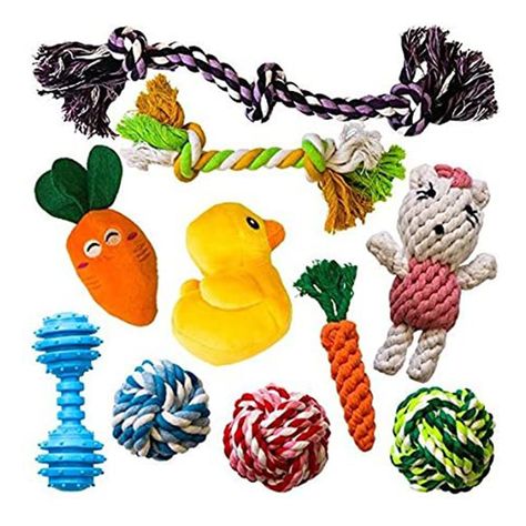 Toys For Small Dogs, Outdoor Dog Toys, Cute Dog Toys, Small Dog Toys, Dog Toys Indestructable, Best Dog Toys, Rope Dog Toys, Best Puppies, Popular Toys