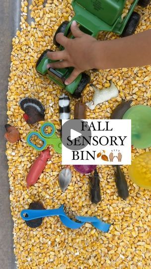 Fall Sensory Bin, Sensory Bin, Sensory Bins, Sensory Play, Fine Motor Skills, Super Simple, Problem Solving, Farm Animals, Color Me