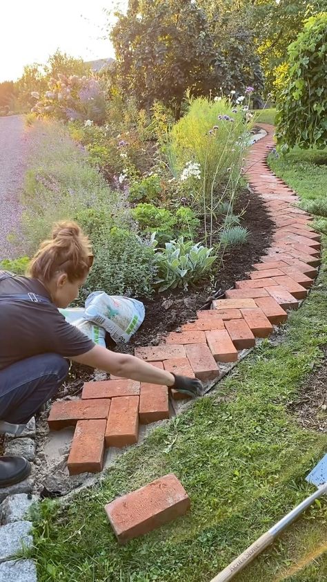 Natalia | And just like that brick pathway became part of the garden ✨ #garden #gardendiy #gardening #gardenjobs #brick #brickpathway #orchard... | Instagram Brick Stepping Stones Ideas, Brick Paver Garden Edging, Brick Around Tree Ideas, Backyard Garden Path Walkway Ideas, Small Pathway Ideas, Outside Pathway Ideas, Backyard Walking Path Ideas, Garden Paths Through Lawn, Landscaping With Bricks