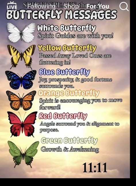 Butterfly Messages, Butterfly Meaning, Spirit Signs, Spirit Messages, Spiritual Awakening Signs, Curated Content, Animal Spirit Guides, Butterfly Quotes, Witch Spirituality