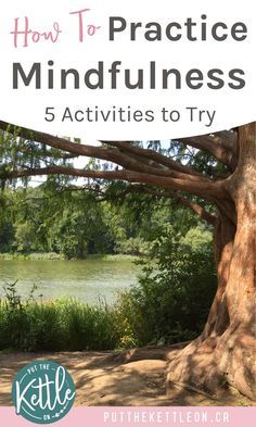 Mindfulness Exercises For Groups, Mindfulness Activities For Adults, Adult Activities, Mindful Activities, Increase Happiness, Holistic Fitness, Mindfulness Books, Wellness Ideas, Senses Activities