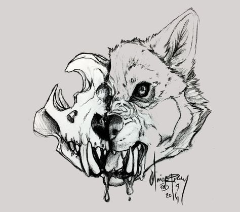 D E V O U R                                                                                                                                                                                 Más Wolf Skull Tattoo, Wolf Skull, Petit Tattoo, Animal Skull, Skulls Drawing, Wolf Drawing, Canine Art, Skull Illustration, Wolf Tattoos