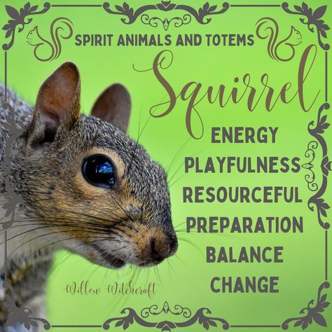 Squirrel Spiritual Meaning, Celtic Squirrel, Squirrel Symbolism, Animal Omens, Snake Symbolism, Animal Totem Spirit Guides, American Indian Quotes, Spirit Animal Meaning, Totem Animals