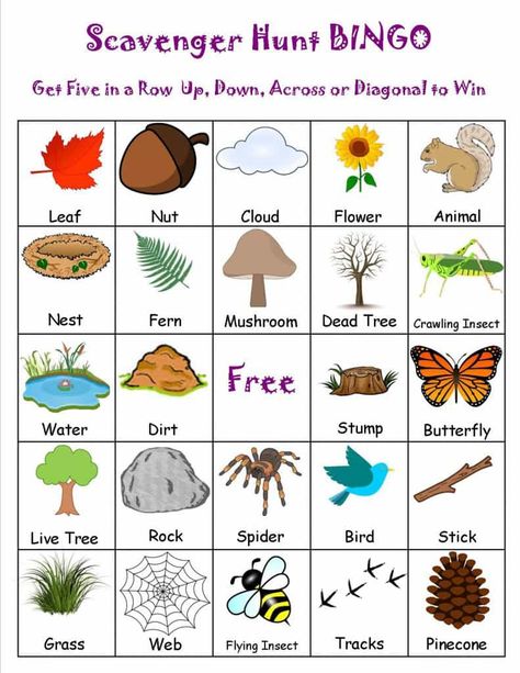 scavenger-hunt-bingo Camping Scavenger Hunts, Oppgaver For Barn, Nature Scavenger Hunt, Printable Bingo Games, Bingo Sheets, Lake Time, Garden Fun, Scavenger Hunt For Kids, Scavenger Hunts