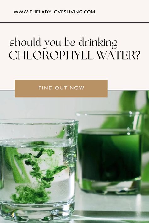 Chlorophyll water is a refreshing and naturally cleansing beverage that has recently been gaining popularity amongst the wellness and health community. Rich in antioxidants and other health-promoting properties, drinking chlorophyll water may provide benefits such as increased energy, improved digestion, and enhanced detoxification. If you're curious to learn more about the health benefits of chlorophyll water, click to learn more. Chrophyl Benefits, Chloryphl Benefits, Clorophil Benefits, Chloroxygen Benefits, Drinking Chlorophyll, Benefits Of Chlorophyll Water, Benefits Of Chlorophyll, Chlorophyll Benefits, Liquid Chlorophyll