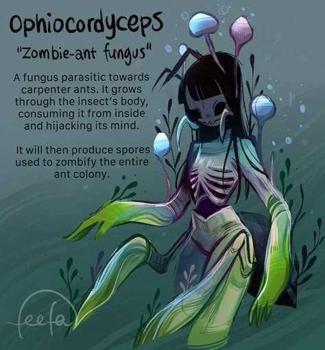 Fictional Diseases, Feefal Art, Disease Art, Fictional Disease Art, Mushroom People, Fantasy Creatures Art, Creatures Art, Mushroom Art, Creature Concept Art